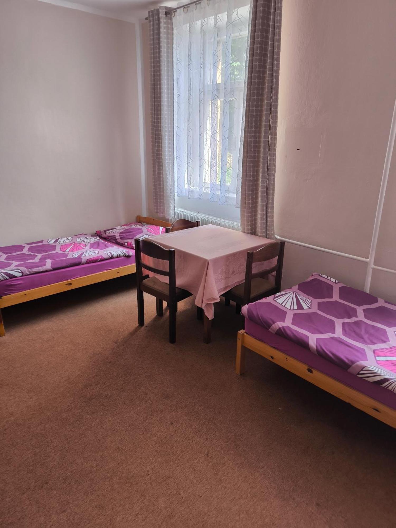 Penzion U Zeleného Stromu Telnice Zimmer foto